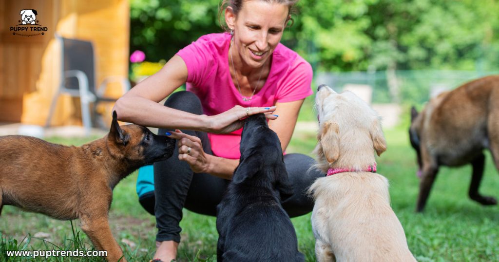 Puppy 101 - Practical Puppyhood Behavior and Care Essentials