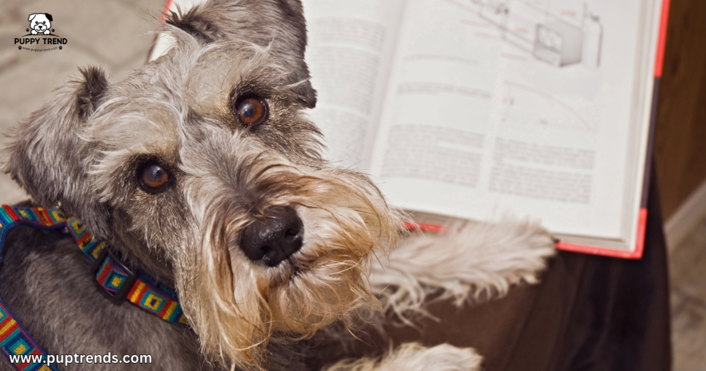 Puppy 101 - Scientific Definition Age, Biology, and Development