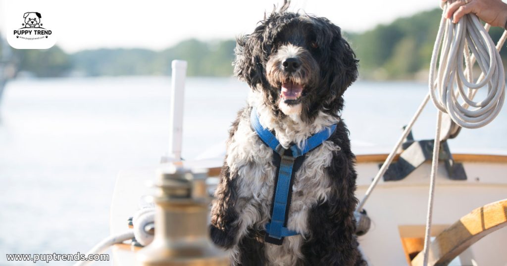 Predictable Grooming Needs