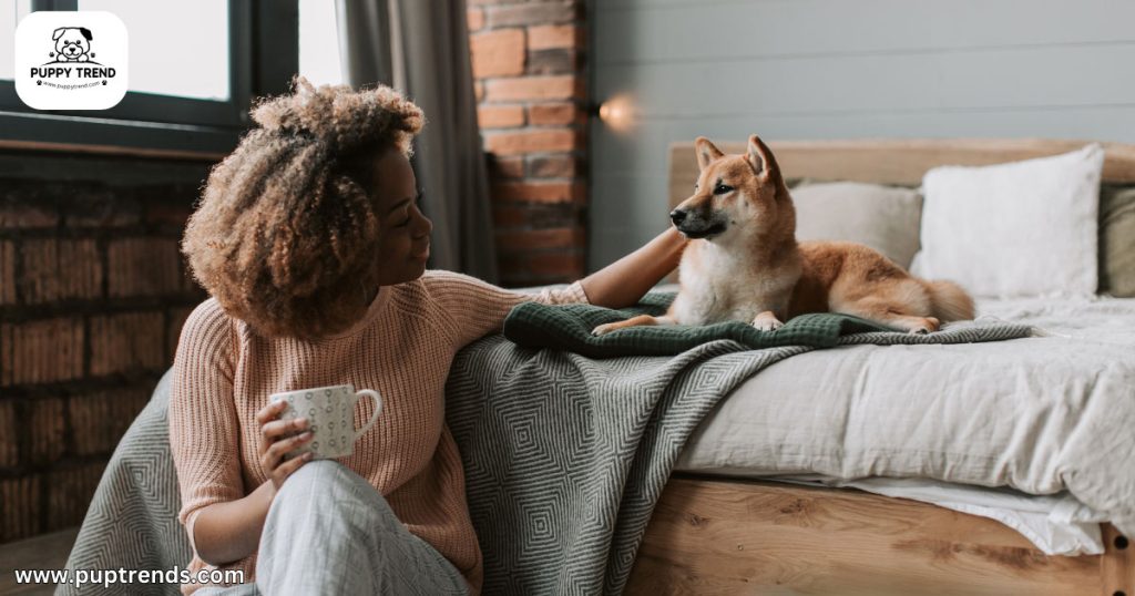 What Dog Is Right For Me - Your Lifestyle & Activity Level