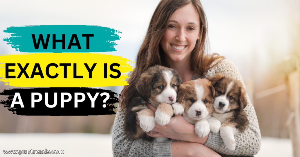 What Exactly Is a Puppy Understanding the Basics of Canine Youth