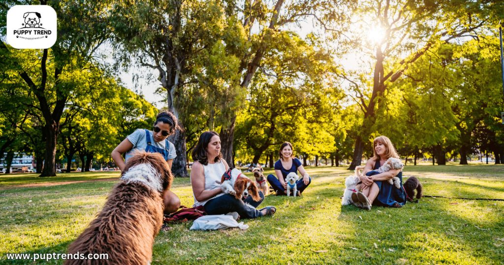 Why I’m Buying a Purebred Dog - Strong Breed Communities